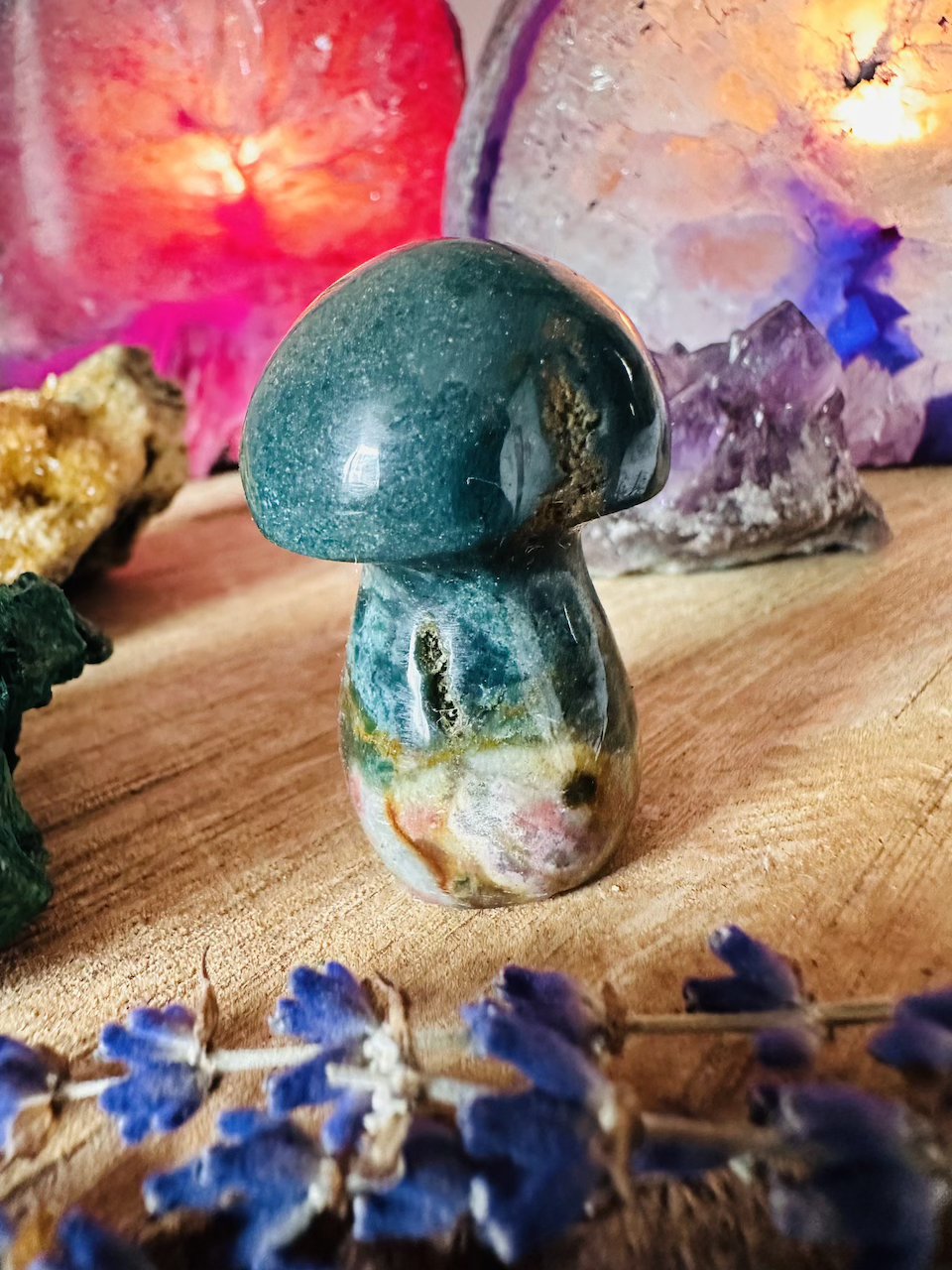 kamieniemocy-grzyb-jaspis-oceaniczny-nr-1ac