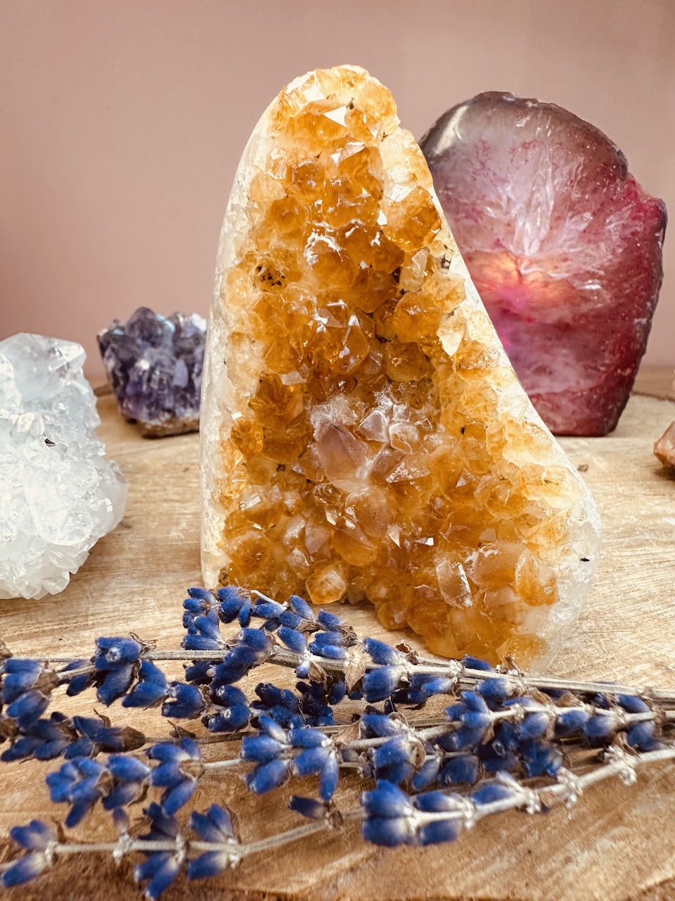 cytryn-kamieniemocy-nr-2