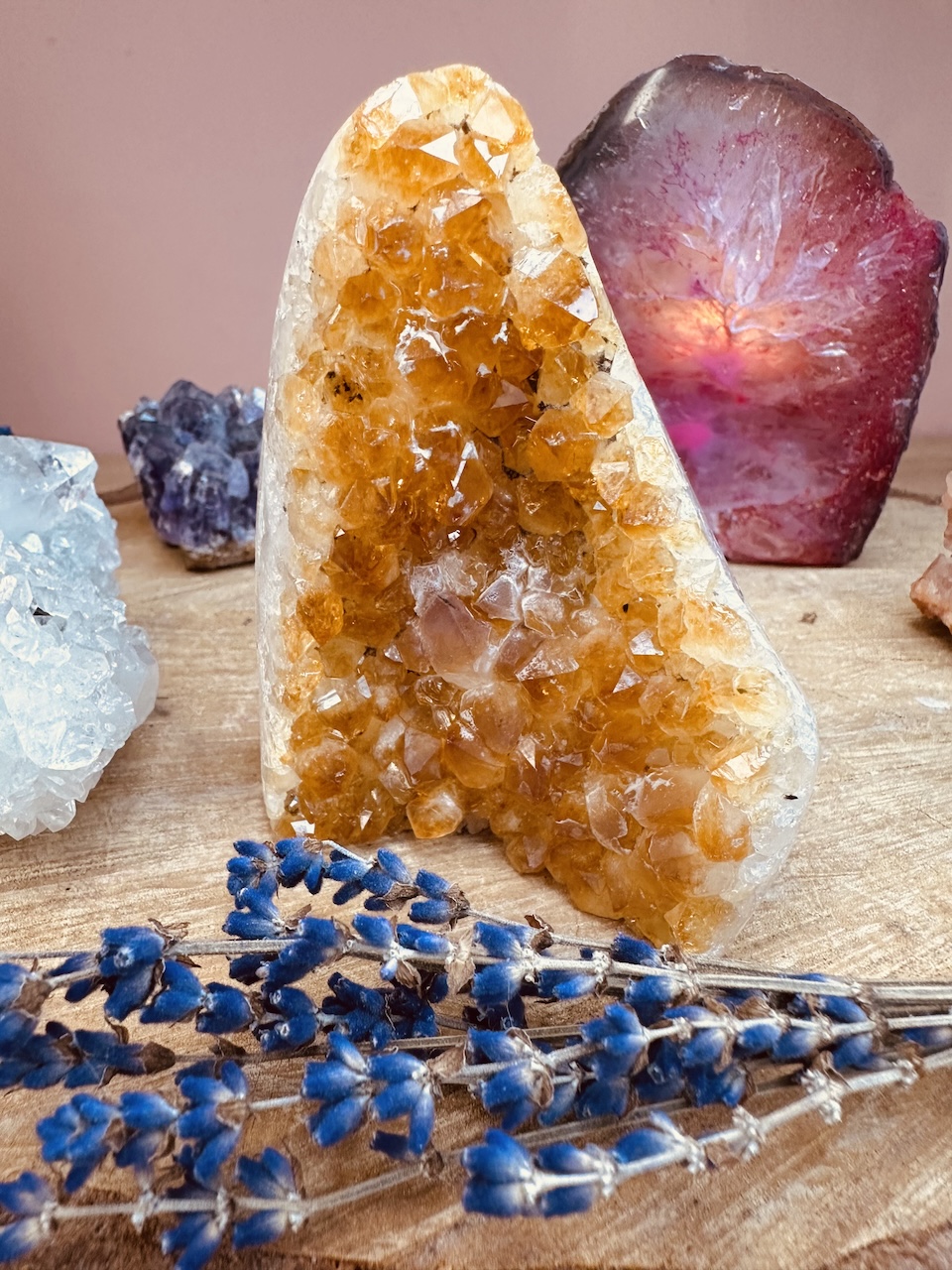 cytryn-kamieniemocy-nr-2a