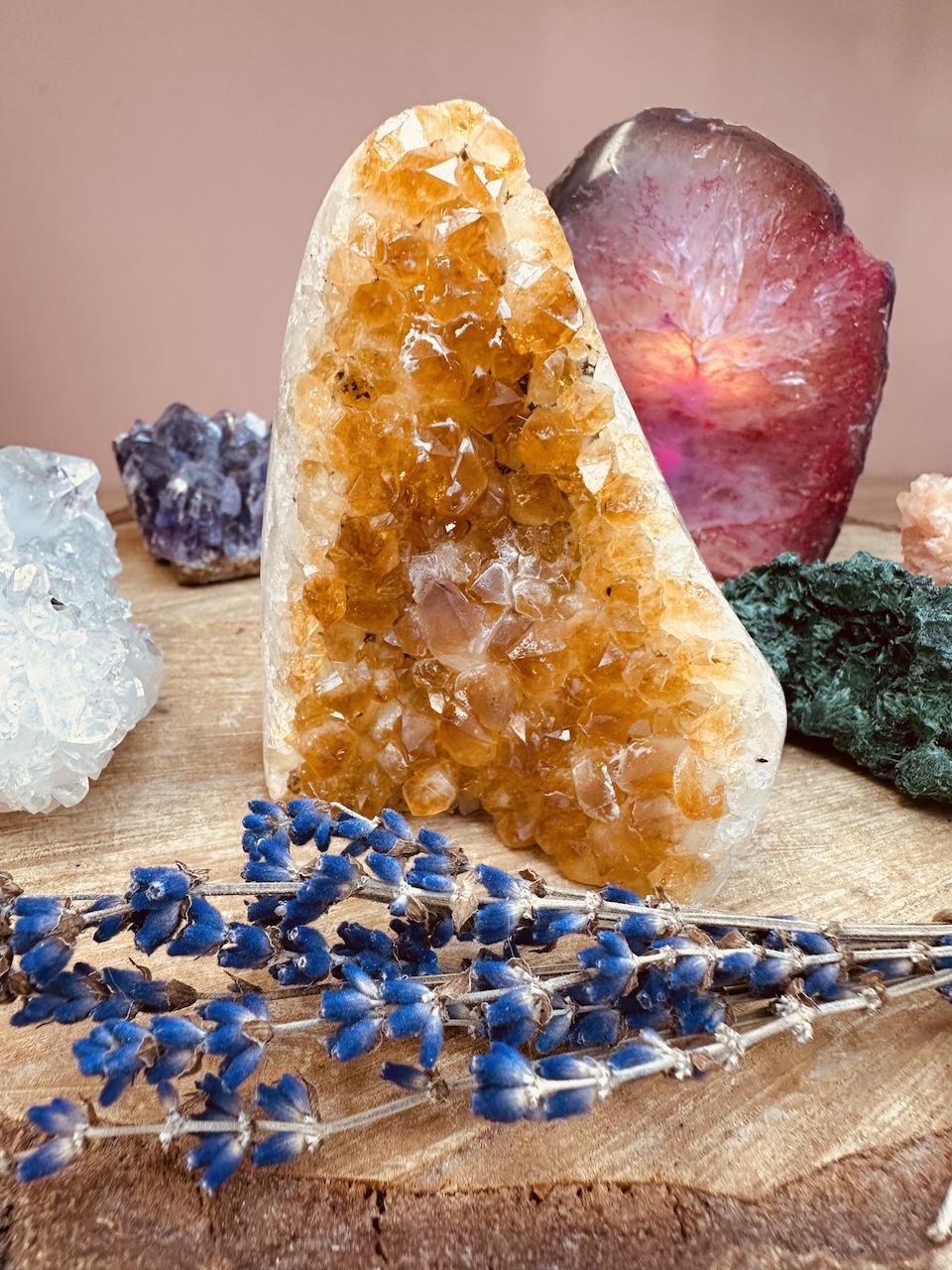 cytryn-kamieniemocy-nr-2b