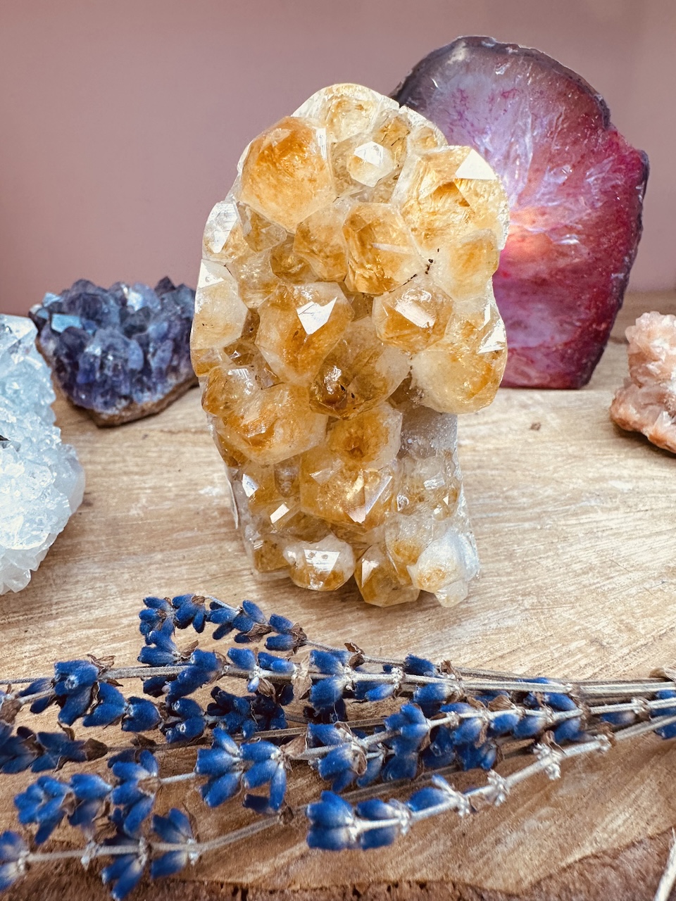 cytryn-kamieniemocy-nr-5