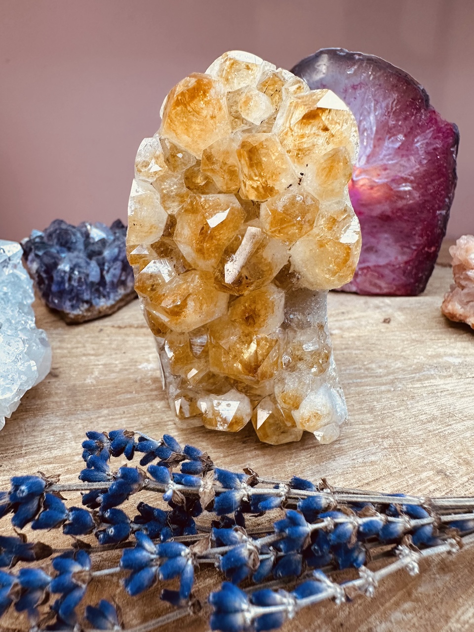 cytryn-kamieniemocy-nr-5a