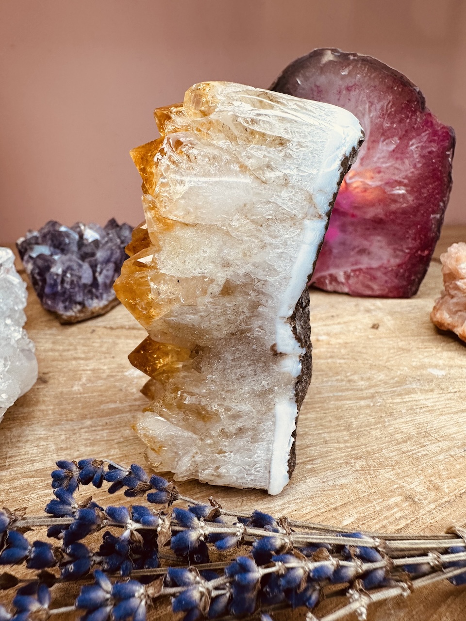 cytryn-kamieniemocy-nr-5b