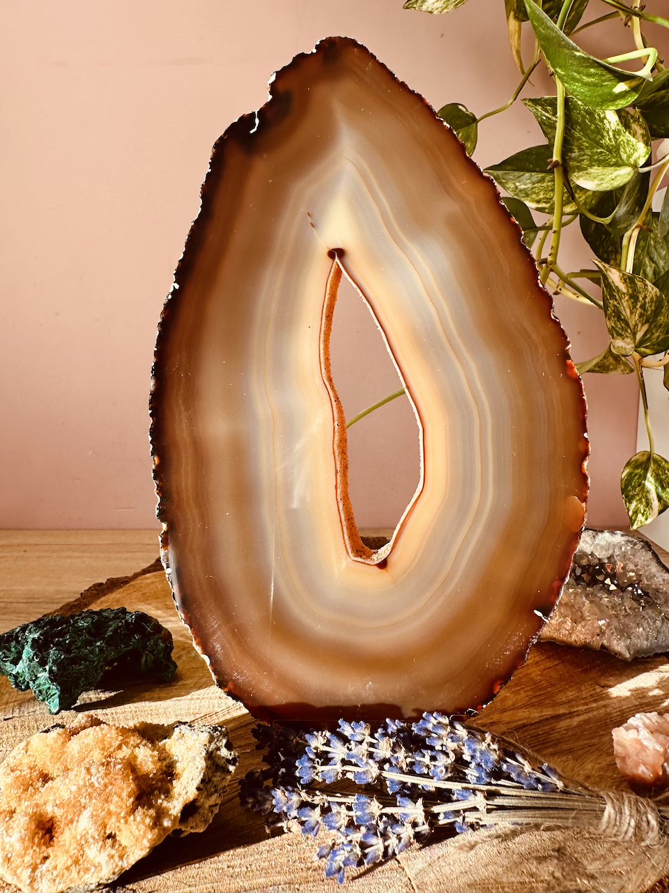 plaster-Agat-XXL-kamieniemocy-nr-3a