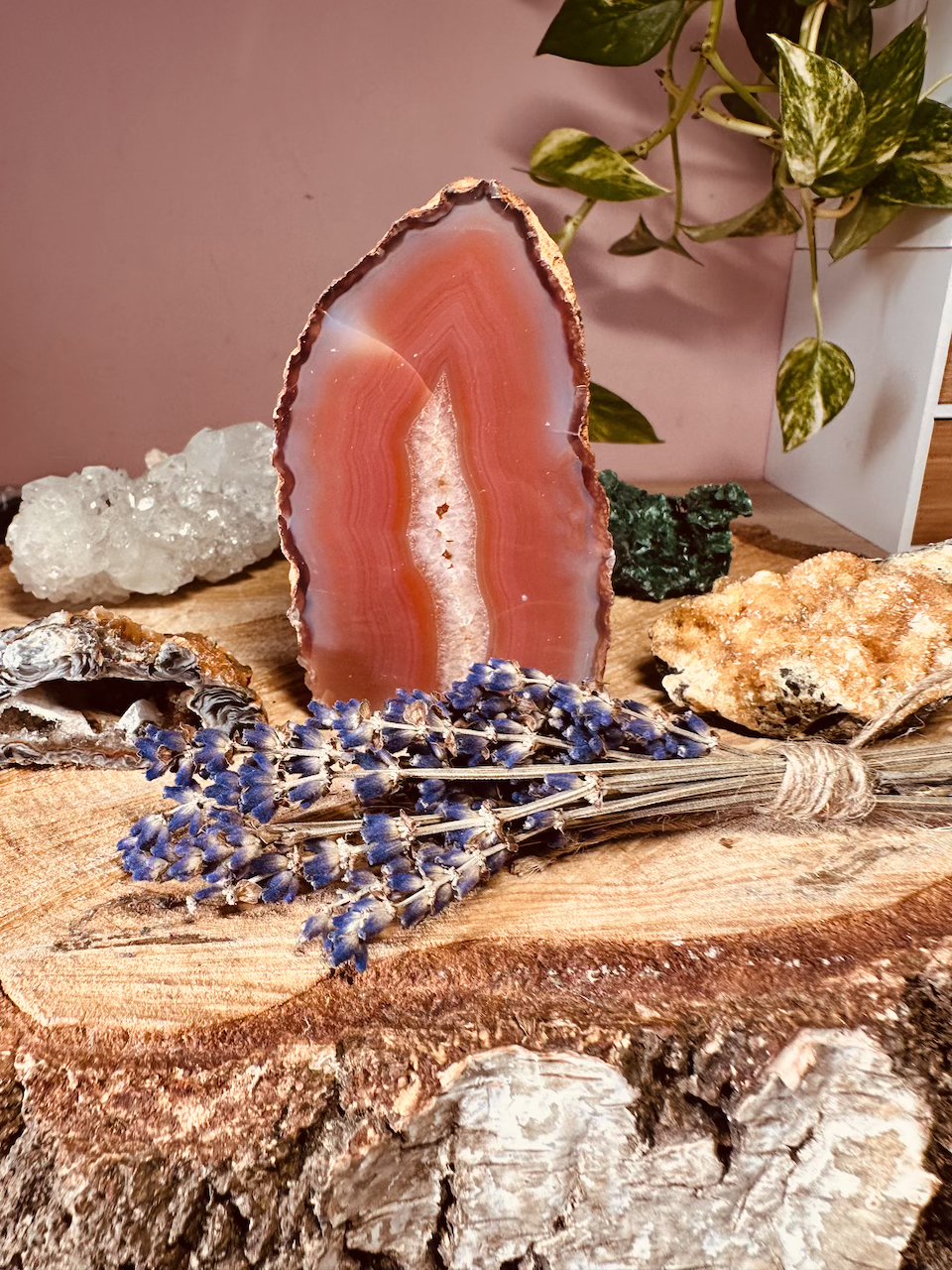 pomaranczowy-agat-kamieniemocy-nr-10b